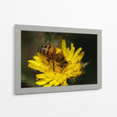 Abeja recolectando polen  - ALEJANDRE PHOTOGRAPHY | Cuadro decorativo de Canvas Lab