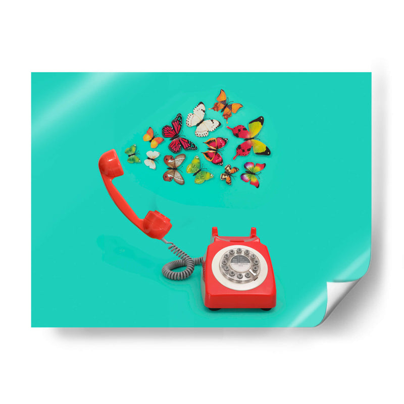 Llamando a todas las mariposas - Julia Ramiro | Cuadro decorativo de Canvas Lab