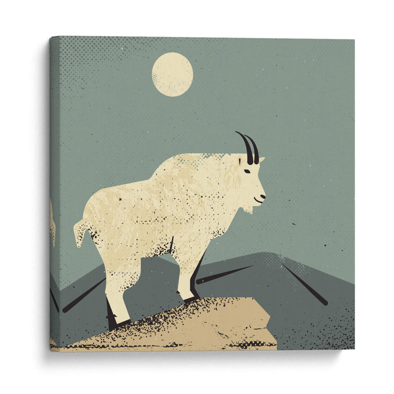 Cabra montés - Vision Grasp Art | Cuadro decorativo de Canvas Lab