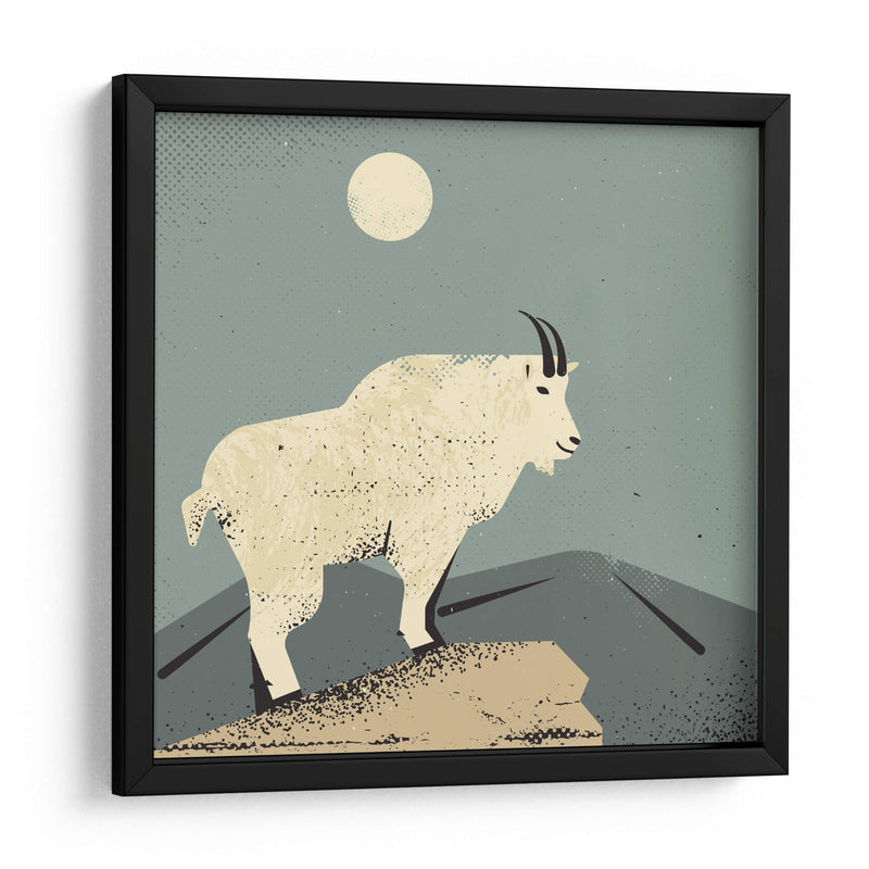 Cabra montés - Vision Grasp Art | Cuadro decorativo de Canvas Lab