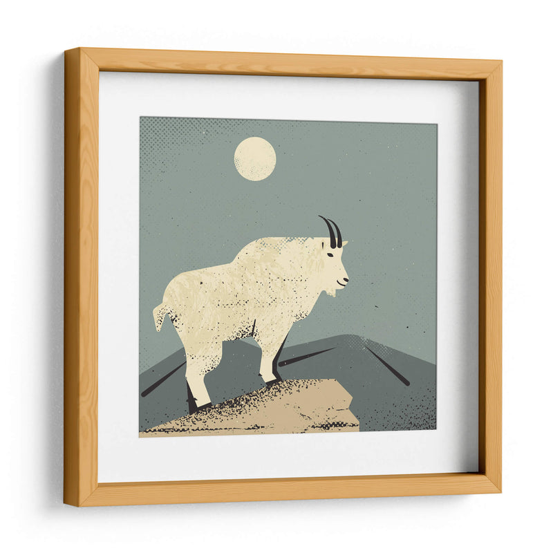 Cabra montés - Vision Grasp Art | Cuadro decorativo de Canvas Lab