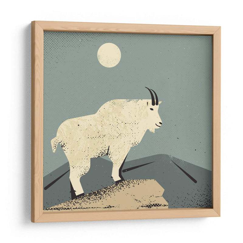 Cabra montés - Vision Grasp Art | Cuadro decorativo de Canvas Lab