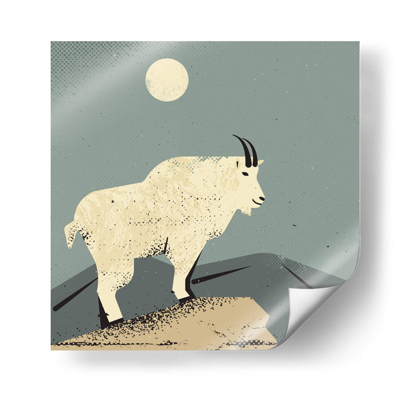 Cabra montés - Vision Grasp Art | Cuadro decorativo de Canvas Lab