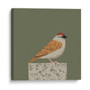 Gorrión pacífico - Vision Grasp Art | Cuadro decorativo de Canvas Lab