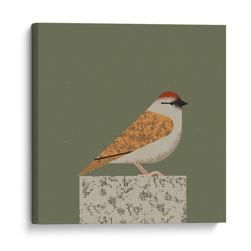 Gorrión pacífico - Vision Grasp Art | Cuadro decorativo de Canvas Lab