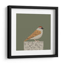 Gorrión pacífico - Vision Grasp Art | Cuadro decorativo de Canvas Lab