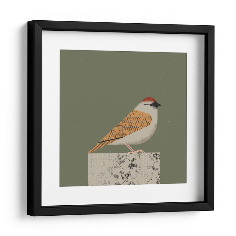 Gorrión pacífico - Vision Grasp Art | Cuadro decorativo de Canvas Lab