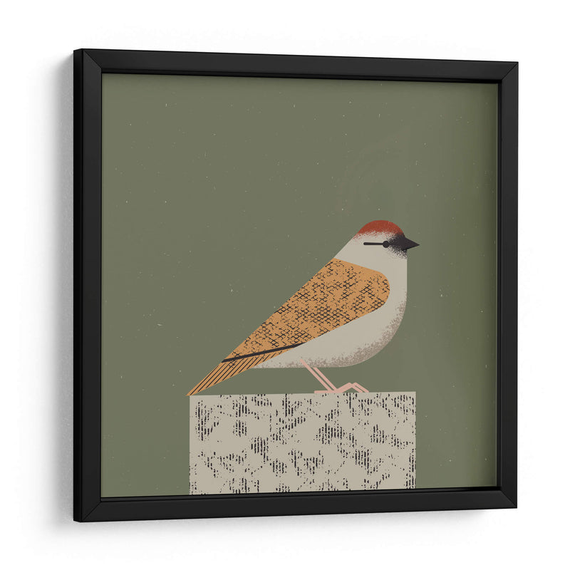 Gorrión pacífico - Vision Grasp Art | Cuadro decorativo de Canvas Lab