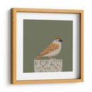 Gorrión pacífico - Vision Grasp Art | Cuadro decorativo de Canvas Lab