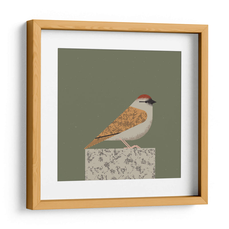 Gorrión pacífico - Vision Grasp Art | Cuadro decorativo de Canvas Lab