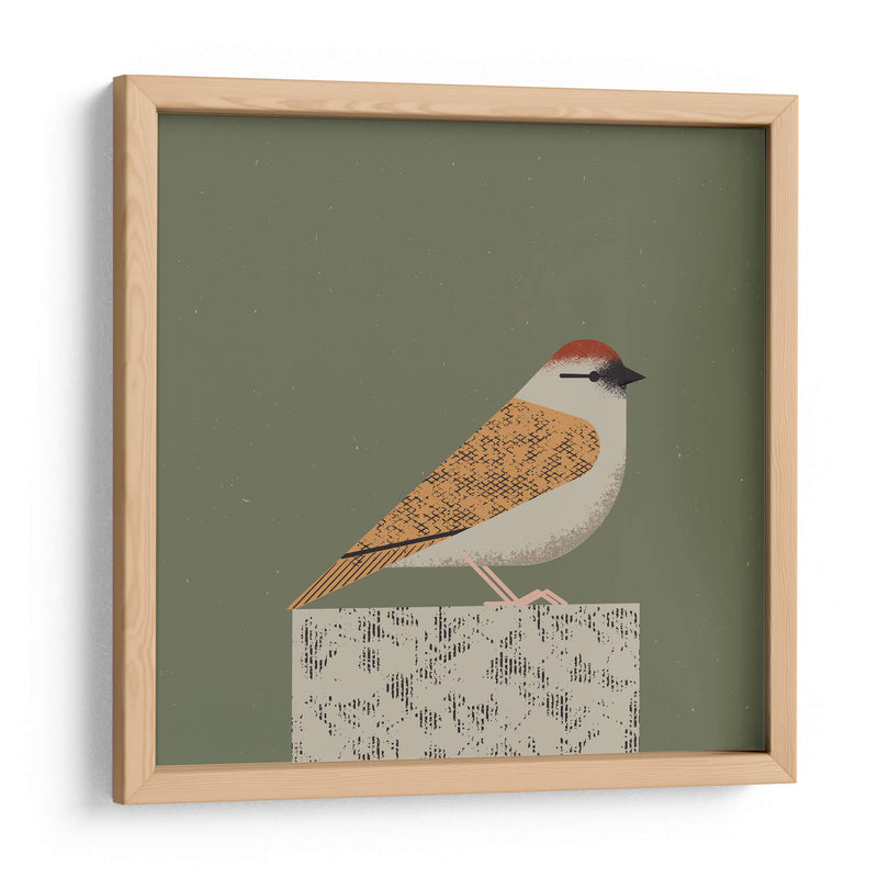 Gorrión pacífico - Vision Grasp Art | Cuadro decorativo de Canvas Lab