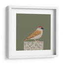 Gorrión pacífico - Vision Grasp Art | Cuadro decorativo de Canvas Lab