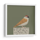 Gorrión pacífico - Vision Grasp Art | Cuadro decorativo de Canvas Lab