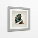 Gramófono de Pavo Real - Artem Pozdniakov | Cuadro decorativo de Canvas Lab