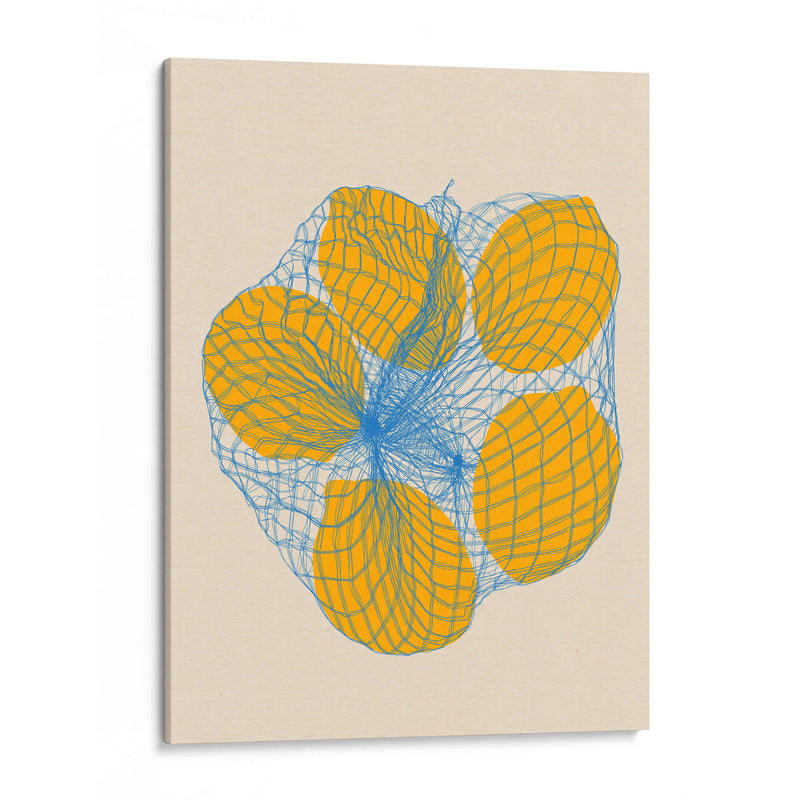 Cinco limones en una bolsa de red - Rosi Feist | Cuadro decorativo de Canvas Lab
