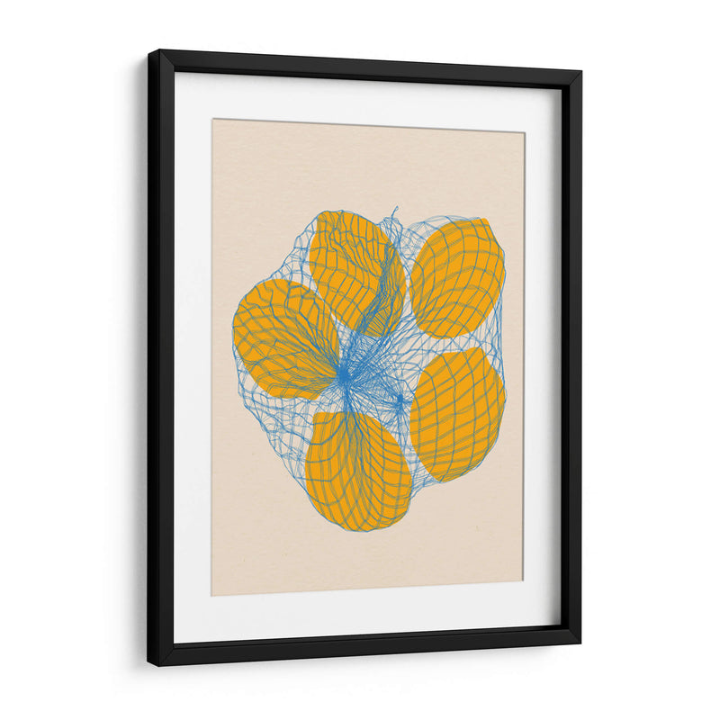 Cinco limones en una bolsa de red - Rosi Feist | Cuadro decorativo de Canvas Lab