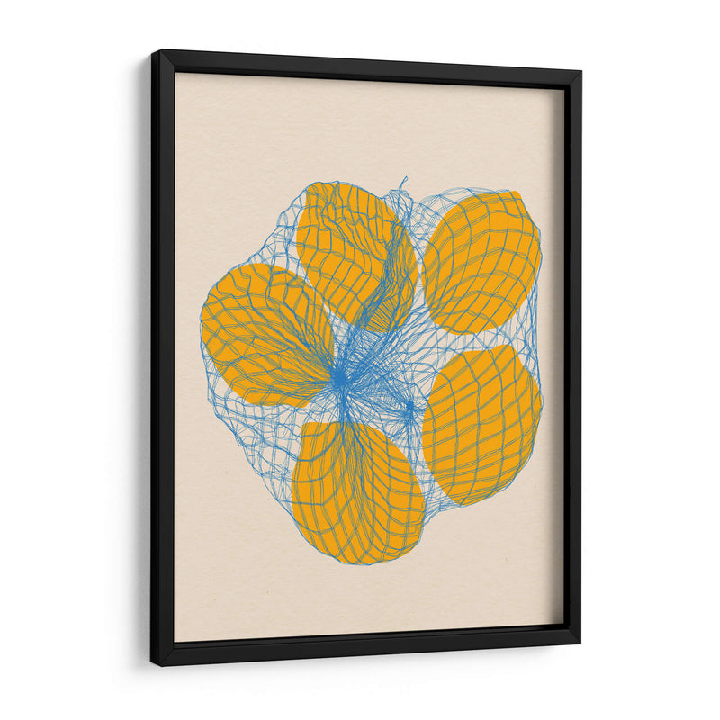 Cinco limones en una bolsa de red - Rosi Feist | Cuadro decorativo de Canvas Lab