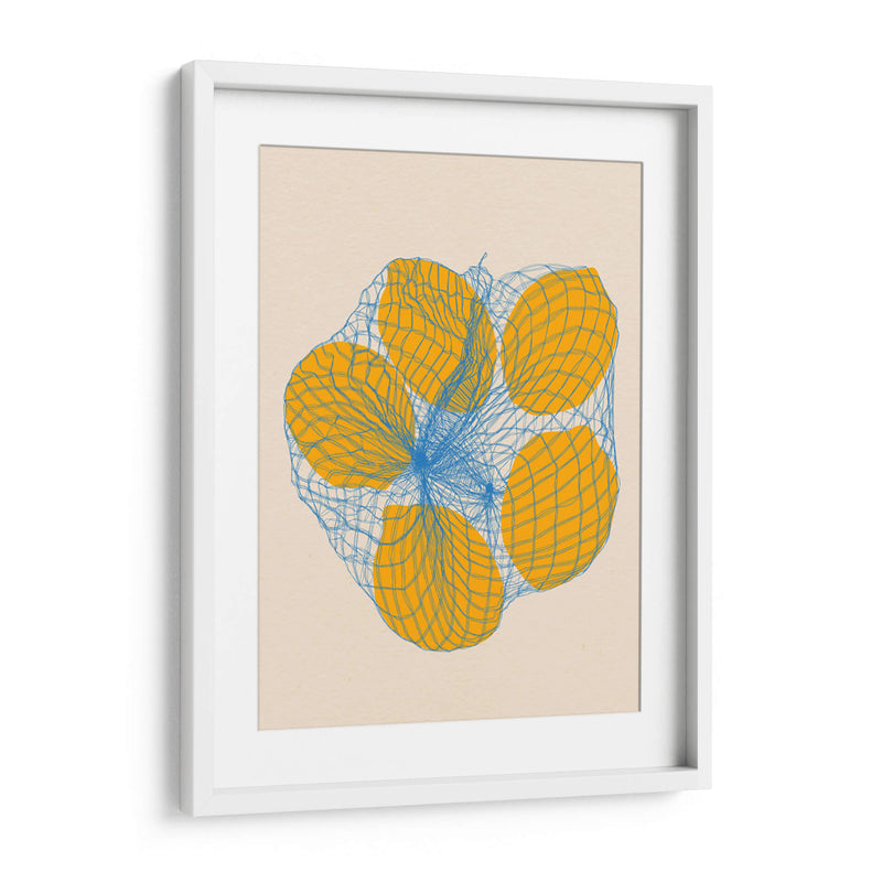 Cinco limones en una bolsa de red - Rosi Feist | Cuadro decorativo de Canvas Lab