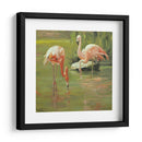Flamingo Ii - Chuck Larivey | Cuadro decorativo de Canvas Lab