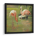 Flamingo Ii - Chuck Larivey | Cuadro decorativo de Canvas Lab