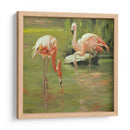 Flamingo Ii - Chuck Larivey | Cuadro decorativo de Canvas Lab