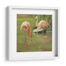 Flamingo Ii - Chuck Larivey | Cuadro decorativo de Canvas Lab
