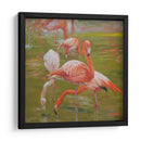 Flamenco I - Chuck Larivey | Cuadro decorativo de Canvas Lab