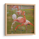 Flamenco I - Chuck Larivey | Cuadro decorativo de Canvas Lab