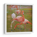 Flamenco I - Chuck Larivey | Cuadro decorativo de Canvas Lab