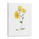 Acuarela Jardín Iv - Kiana Mosley | Cuadro decorativo de Canvas Lab