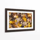 Hojas secas de otoño en el suelo  - ALEJANDRE PHOTOGRAPHY | Cuadro decorativo de Canvas Lab