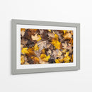 Hojas secas de otoño en el suelo  - ALEJANDRE PHOTOGRAPHY | Cuadro decorativo de Canvas Lab