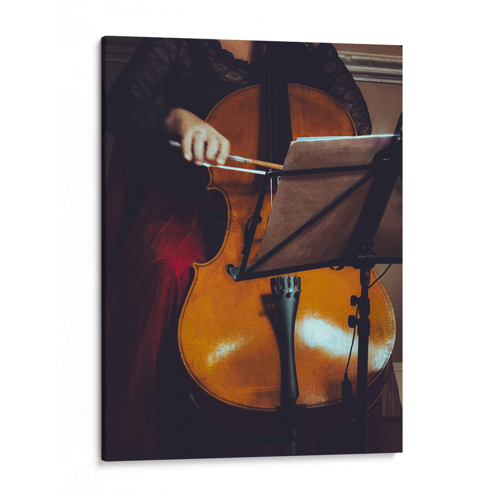 Concierto en cello - E Ordóñez | Cuadro decorativo de Canvas Lab