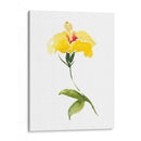 Acuarela Jardín Ii - Kiana Mosley | Cuadro decorativo de Canvas Lab