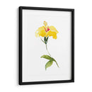 Acuarela Jardín Ii - Kiana Mosley | Cuadro decorativo de Canvas Lab