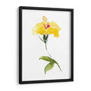 Acuarela Jardín Ii - Kiana Mosley | Cuadro decorativo de Canvas Lab