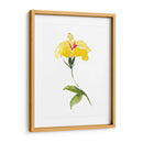 Acuarela Jardín Ii - Kiana Mosley | Cuadro decorativo de Canvas Lab