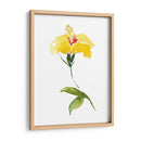 Acuarela Jardín Ii - Kiana Mosley | Cuadro decorativo de Canvas Lab