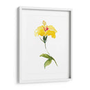 Acuarela Jardín Ii - Kiana Mosley | Cuadro decorativo de Canvas Lab