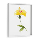 Acuarela Jardín Ii - Kiana Mosley | Cuadro decorativo de Canvas Lab