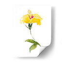 Acuarela Jardín Ii - Kiana Mosley | Cuadro decorativo de Canvas Lab