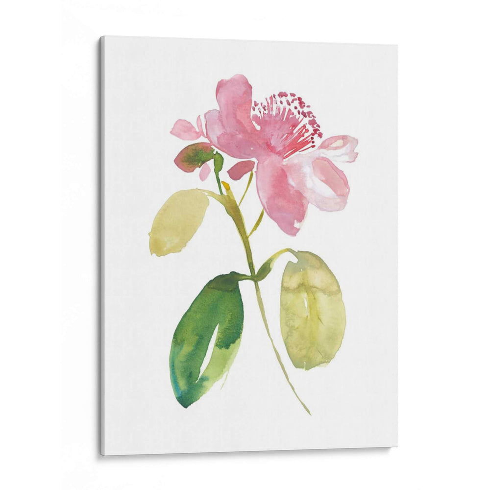 Acuarela Jardín I - Kiana Mosley | Cuadro decorativo de Canvas Lab