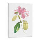 Acuarela Jardín I - Kiana Mosley | Cuadro decorativo de Canvas Lab