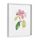 Acuarela Jardín I - Kiana Mosley | Cuadro decorativo de Canvas Lab