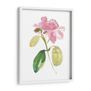 Acuarela Jardín I - Kiana Mosley | Cuadro decorativo de Canvas Lab