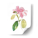 Acuarela Jardín I - Kiana Mosley | Cuadro decorativo de Canvas Lab