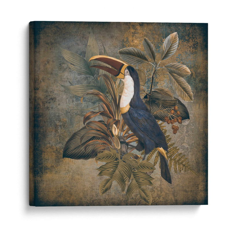 Tucán 2 - Andrea Haase | Cuadro decorativo de Canvas Lab