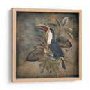 Tucán 2 - Andrea Haase | Cuadro decorativo de Canvas Lab