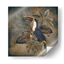 Tucán 2 - Andrea Haase | Cuadro decorativo de Canvas Lab