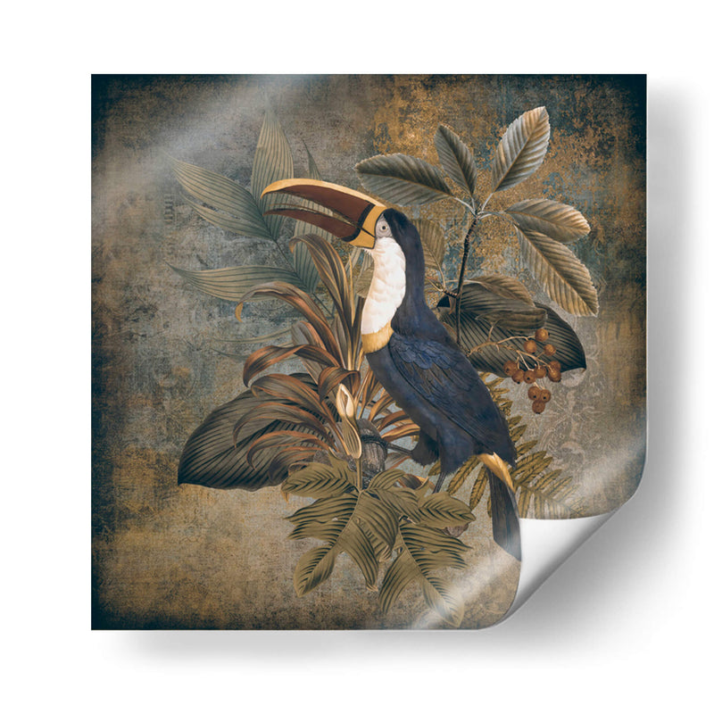 Tucán 2 - Andrea Haase | Cuadro decorativo de Canvas Lab